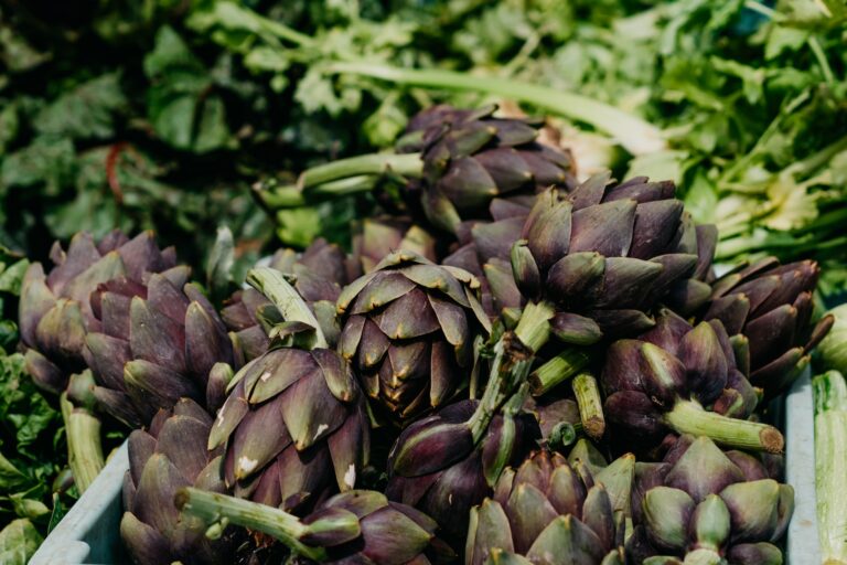 Vegetables Aim Keto Diet Artichoke aimketodiet.com