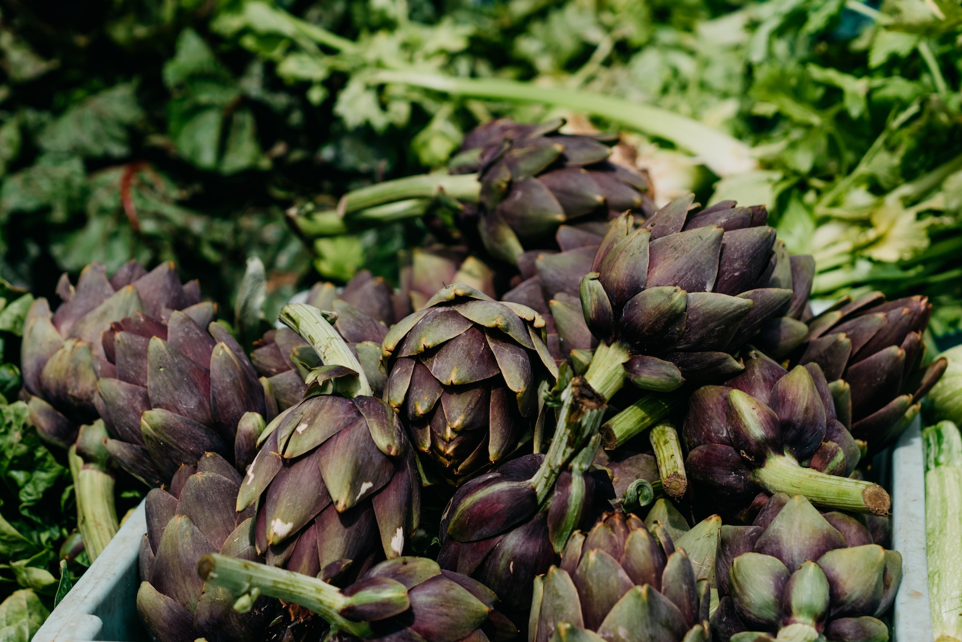Artichoke aimketodiet.com