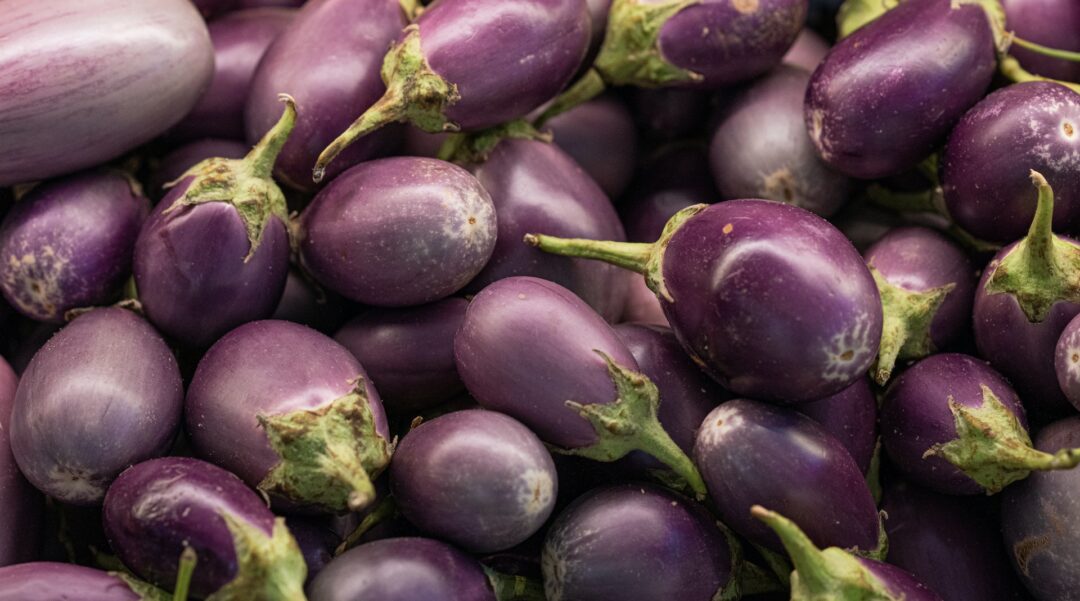 Brinjal aimketodiet.com