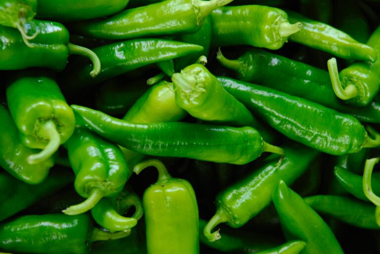 Vegetables Aim Keto Diet Chili aimketodiet.com