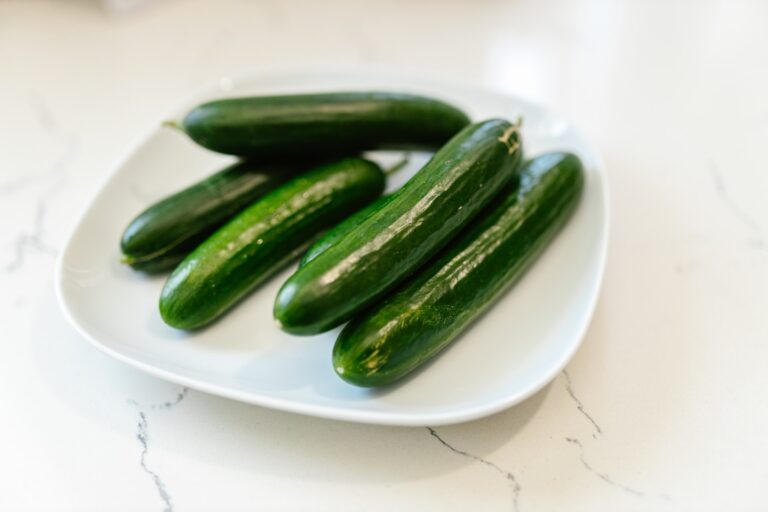 Vegetables Aim Keto Diet Cucumber aimketodiet (2)