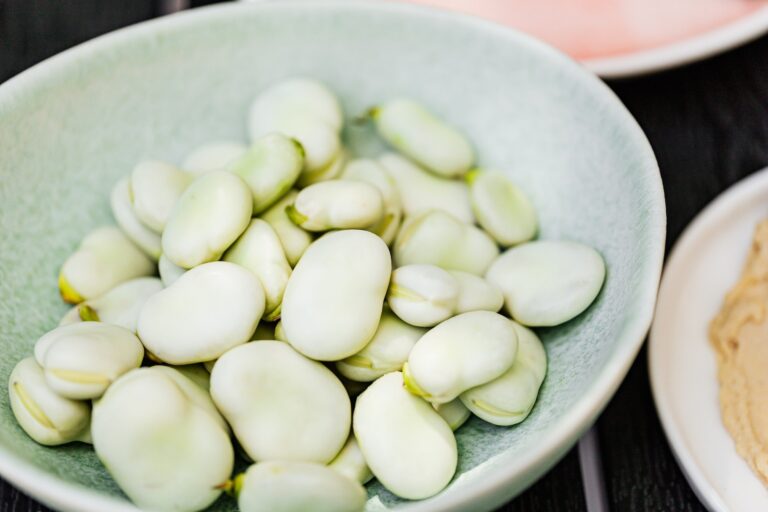 Vegetables Aim Keto Diet Fava beans aimketodiet.com