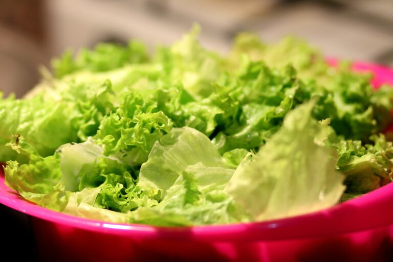 Vegetables Aim Keto Diet Lettuce aimketodiet.com