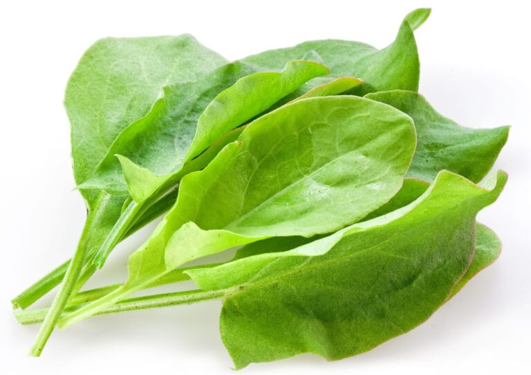 Vegetables Aim Keto Diet Sorrel aimketodiet.com