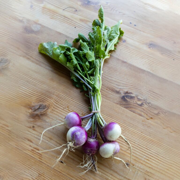Vegetables Aim Keto Diet Turnip aimketodiet.com