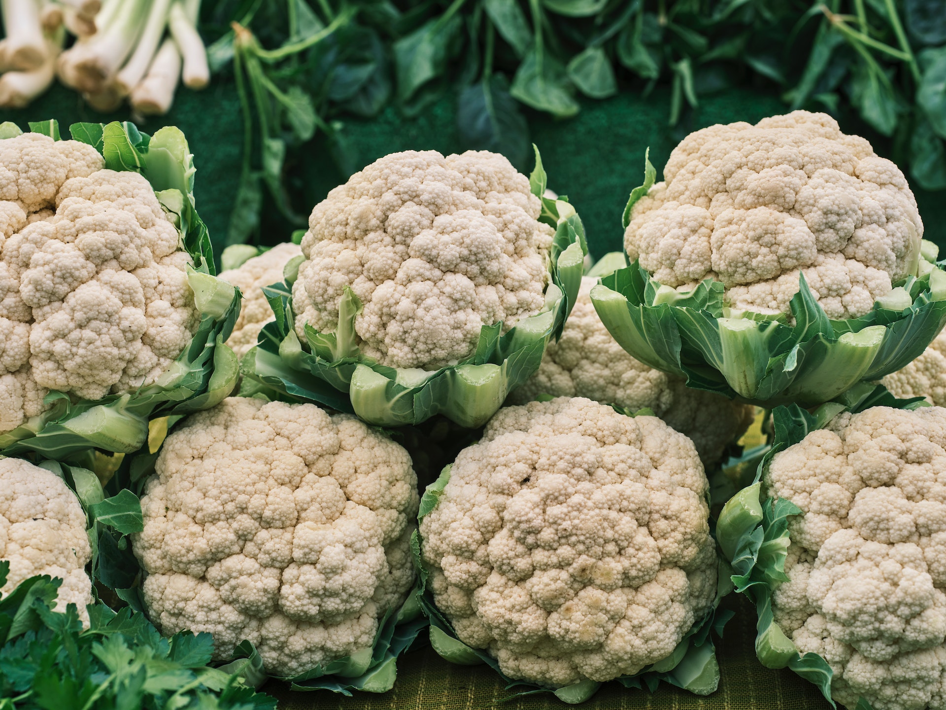 cauliflower aimketodiet.com
