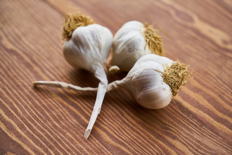 Vegetables Aim Keto Diet garlic aimketodiet.com