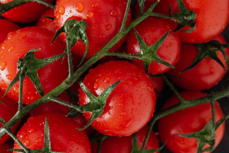 Vegetables Aim Keto Diet tomato aimketodiet.com