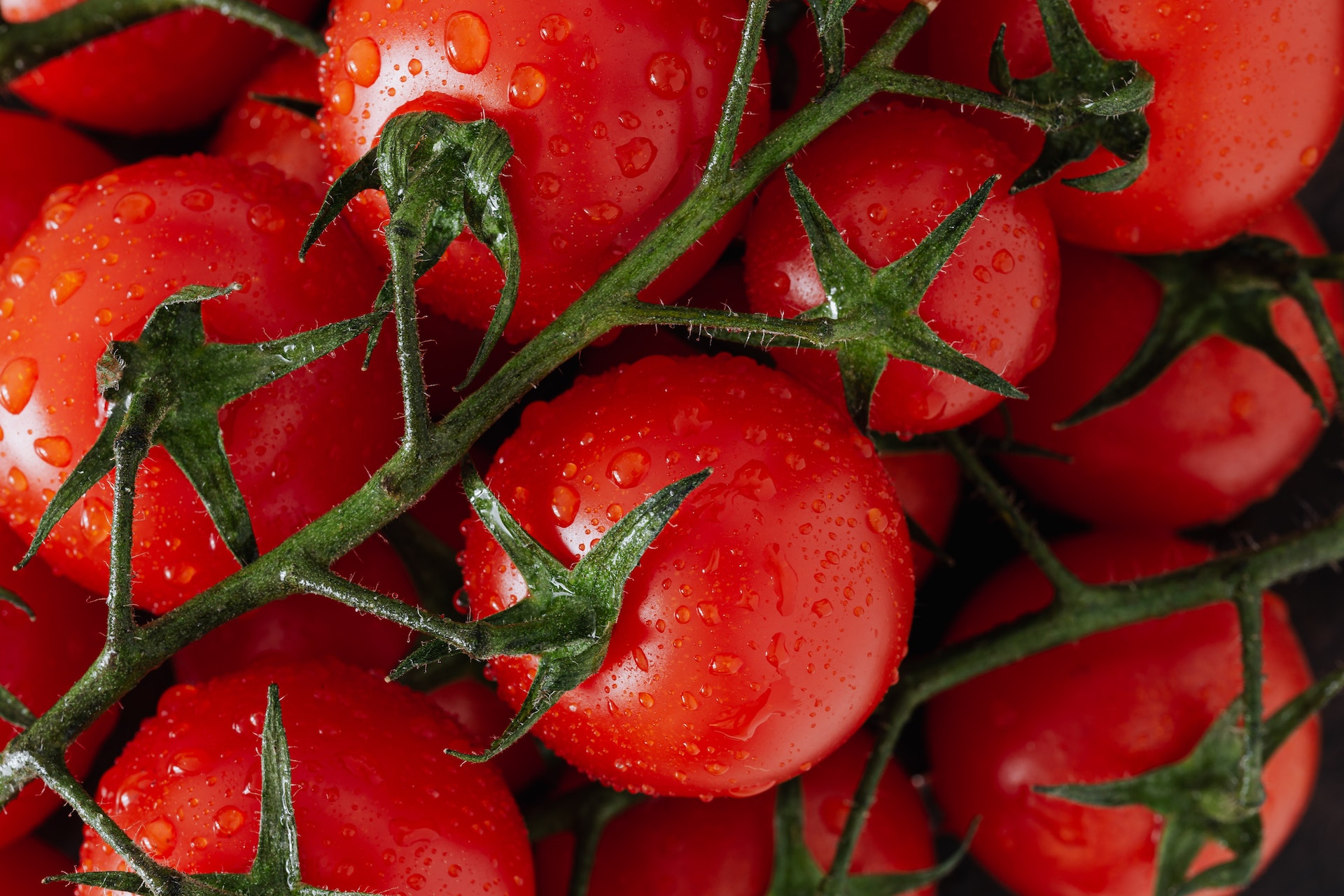 Tomato Magic: Unlocking the Low-Carb Wonders of this Keto-Friendly Superfood Aim Keto Diet tomato aimketodiet.com