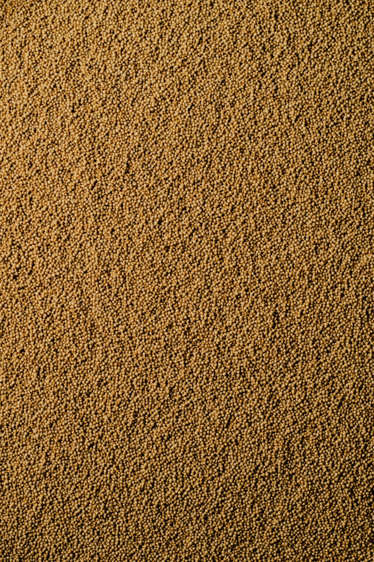 Amaranth The Ancient Grain For Modern Keto Diets Aim Keto Diet