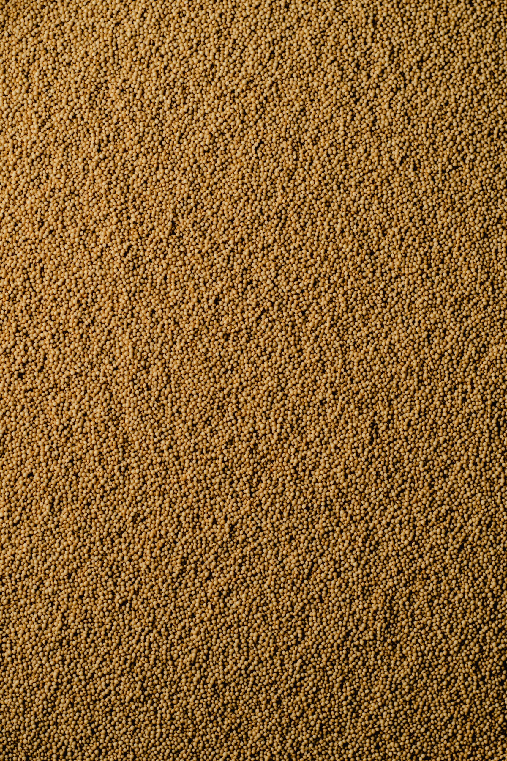 Amaranth: The Ancient Grain for Modern Keto Diets Aim Keto Diet Amaranth aimketodiet (1)