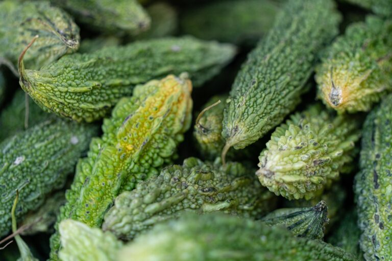 Vegetables Aim Keto Diet Bitter gourd aimketodiet.com