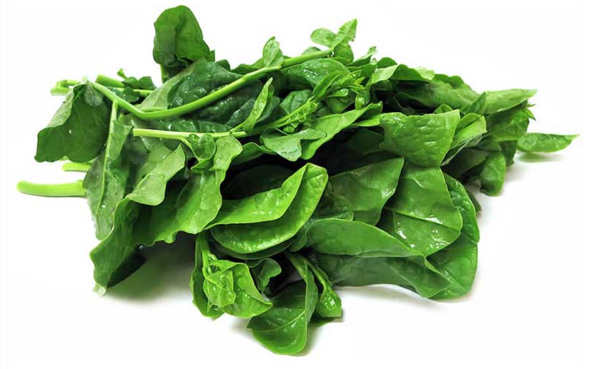 Ceylon Spinach: The Underrated Superfood for Keto Enthusiasts! Aim Keto Diet Ceylon Spinach aimketodiet.com