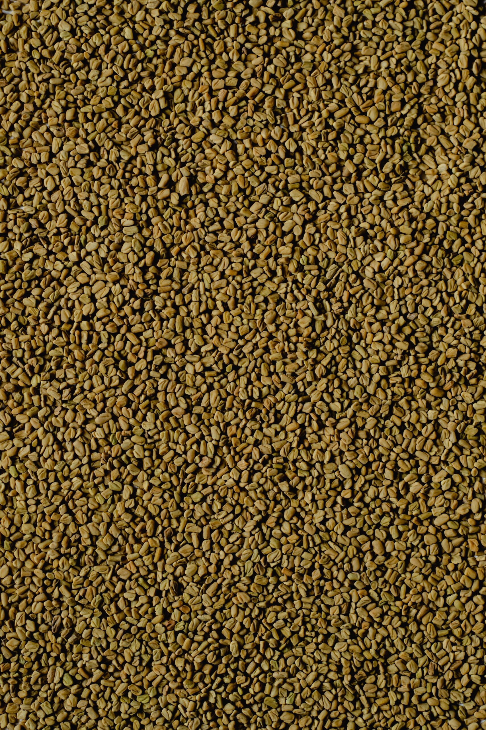 Fenugreek aimketodiet (2)