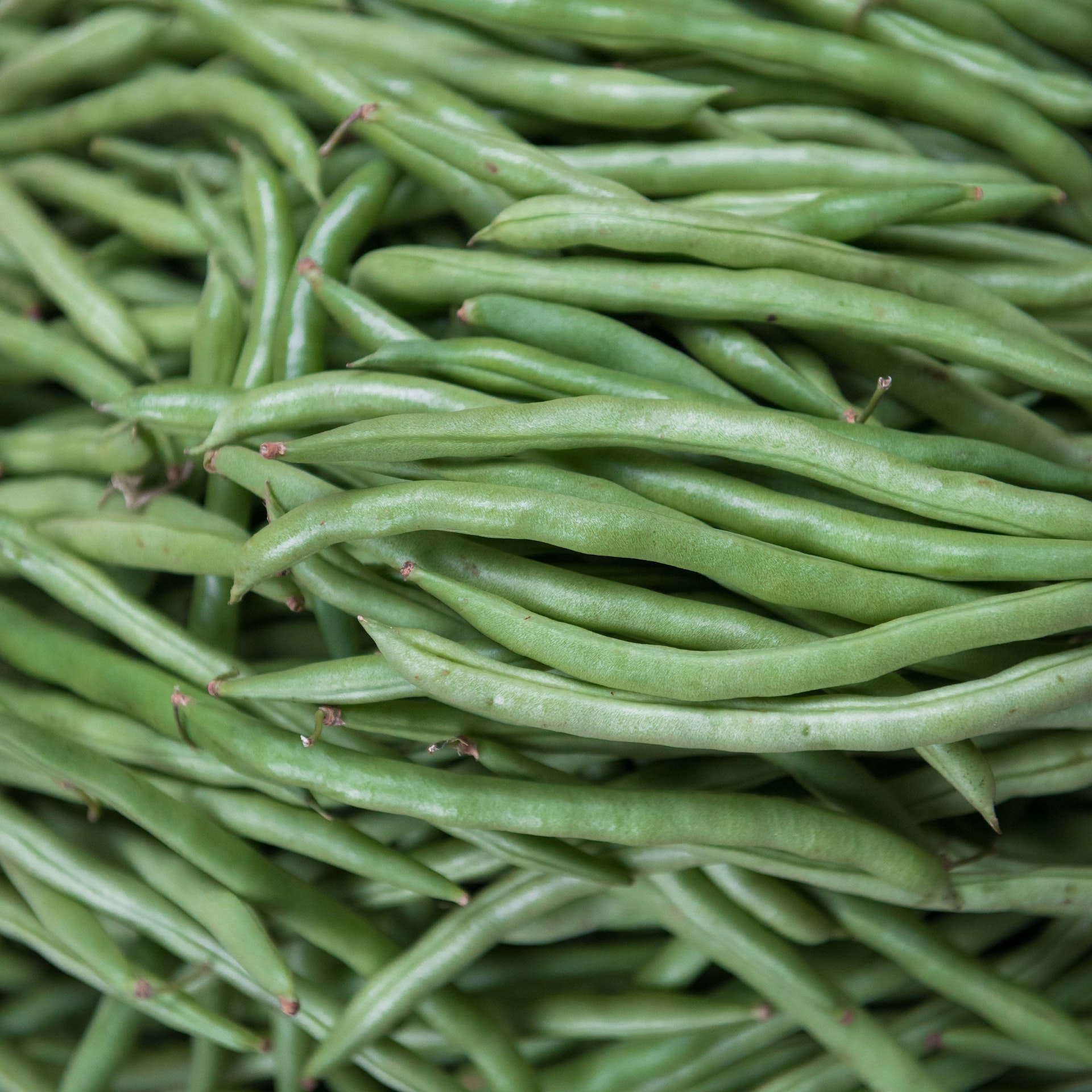 French beans Green beans aimketodiet.com