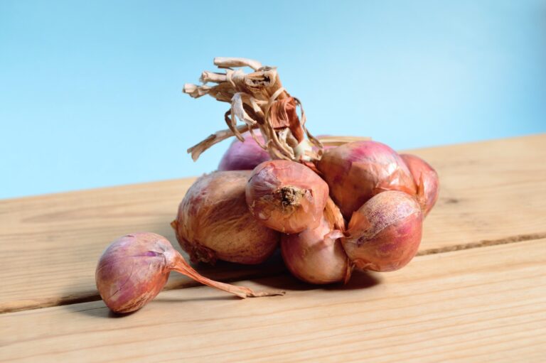 Vegetables Aim Keto Diet Onion aimketodiet.com