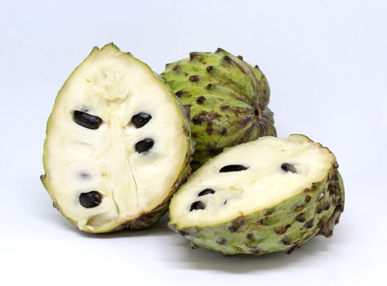 Fruits Aim Keto Diet Exotic fruit Atemoya isolated on white background Aimketodiet.com