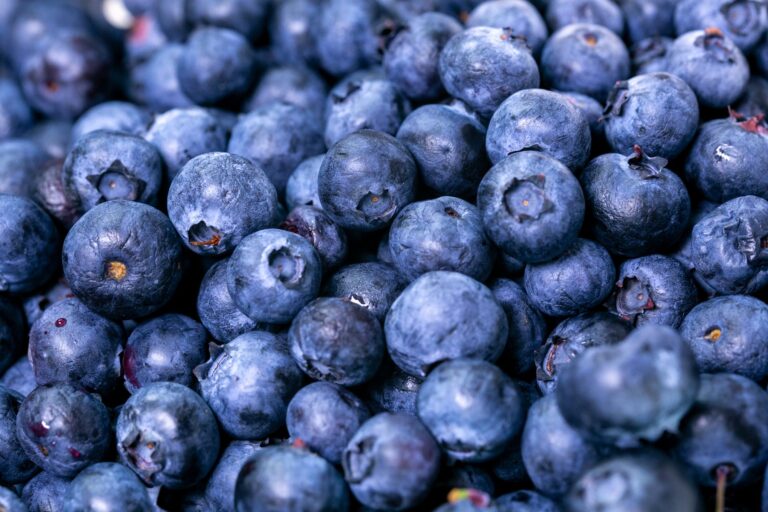 Blueberry Aimketodiet.com