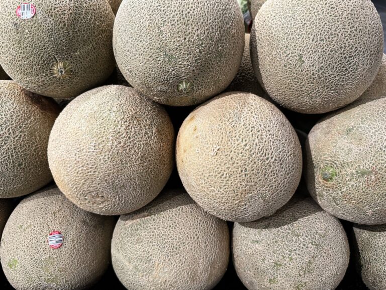 Cantaloupe Aimketodiet.com
