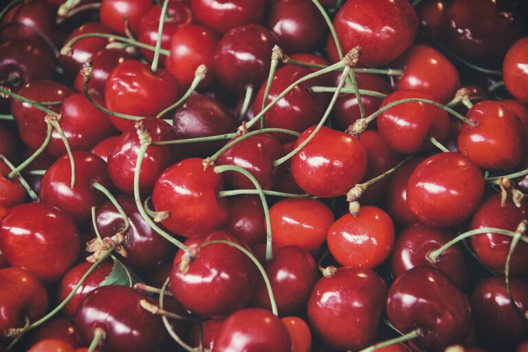 Cherry Aimketodiet.com