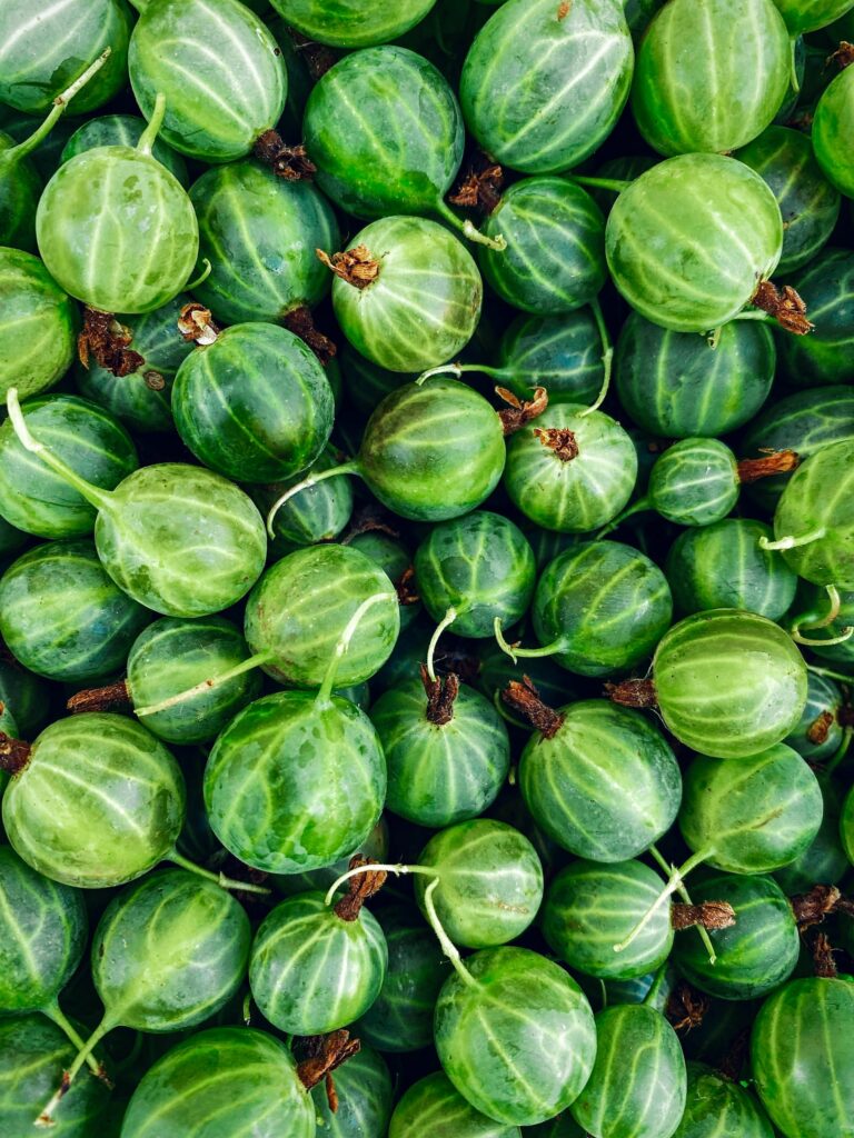 Gooseberry Aimketodiet.com