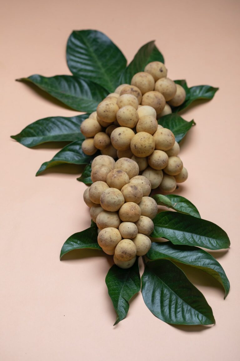 Fruits Aim Keto Diet Longan Aimketodiet.com