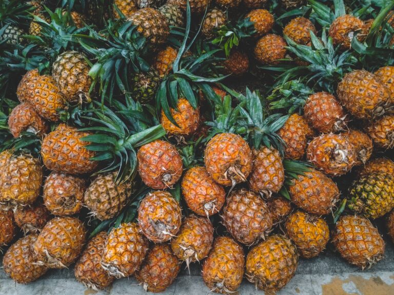 Pineapple Aimketodiet.com