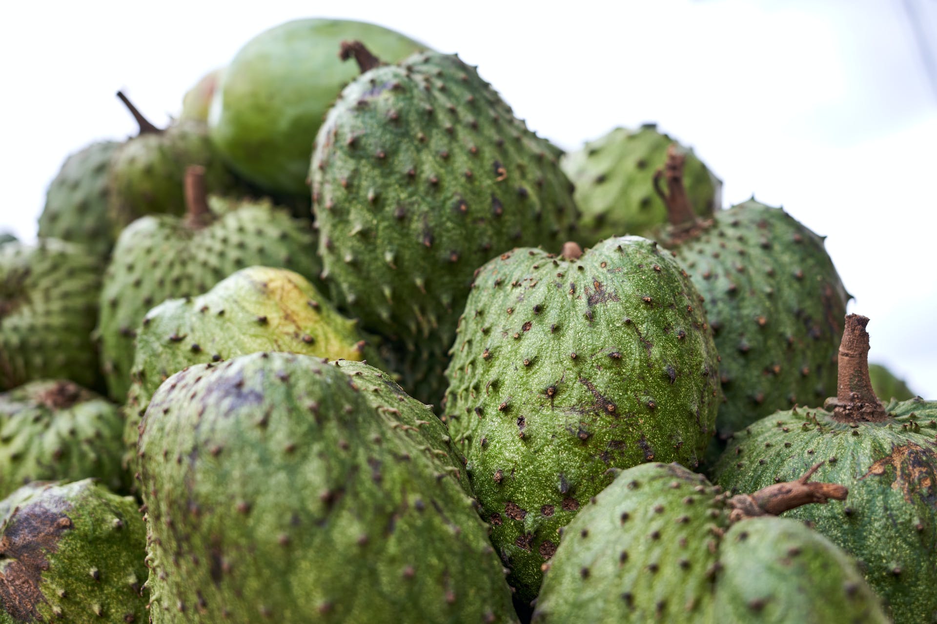 Unlocking the Health Wonders of Soursop: A Hidden Gem for Your Keto Journey Aim Keto Diet Soursop Aimketodiet.com