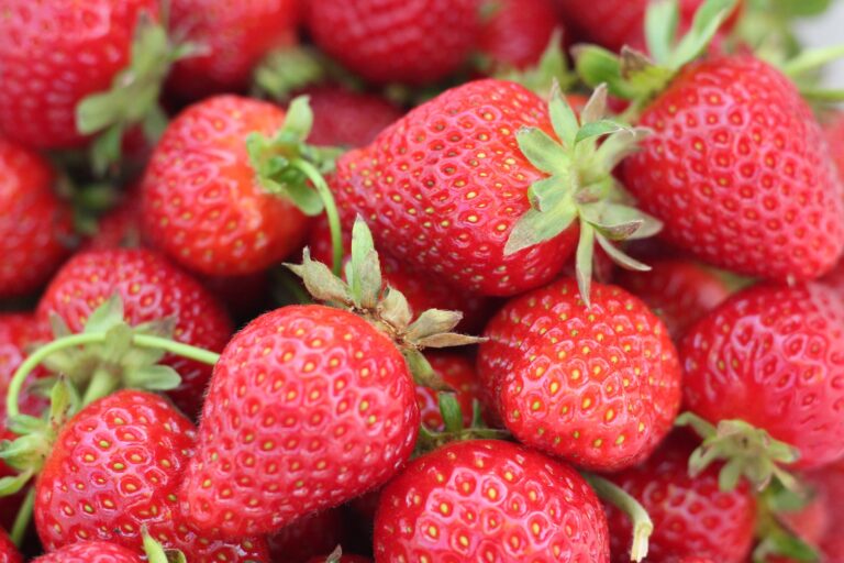 Strawberry Aimketodiet.com